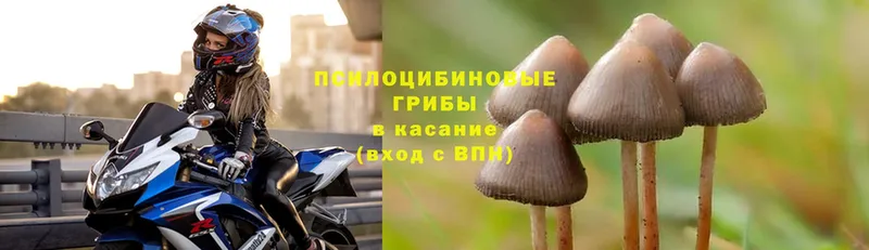 Псилоцибиновые грибы MAGIC MUSHROOMS  закладка  Воткинск 